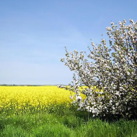 Bela 2 By Interhome Lejlighed *